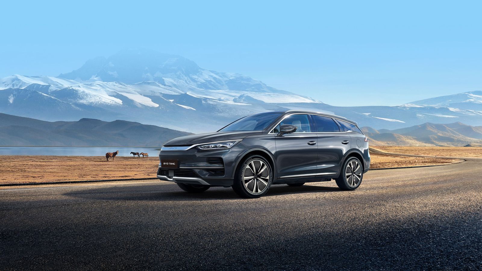 BYD Tang